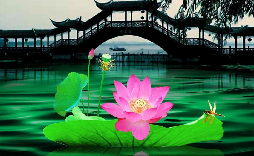 杭州俩天旅游攻略:轻松规划行程,避开人潮,尽享西湖美景与地道美食 杭州俩天旅游攻略:轻松规划行程,避开人潮,尽享西湖美景与地道美食