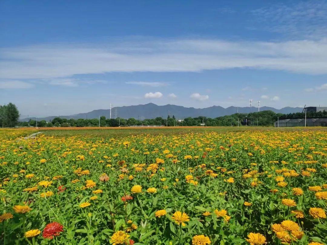 杭州附近旅游景点哪里好玩?一日游必去景点推荐,轻松避开人潮玩得尽兴 杭州附近旅游景点哪里好玩?一日游必去景点推荐,轻松避开人潮玩得尽兴