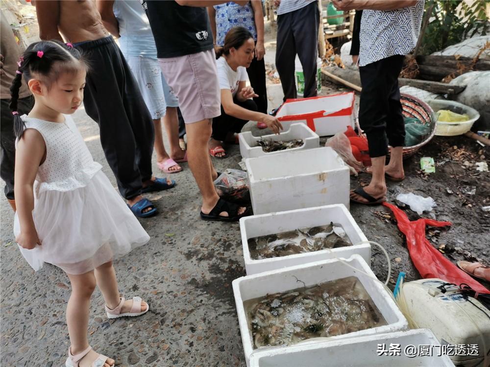 带孩子三天游去哪里玩比较好?精选亲子目的地与省心攻略 带孩子三天游去哪里玩比较好?精选亲子目的地与省心攻略