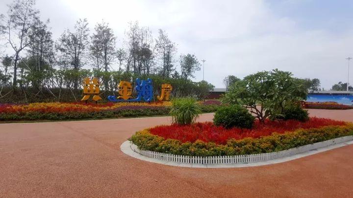 大亚湾景点旅游攻略：避开人潮，轻松玩转黄金海岸与隐秘岛屿